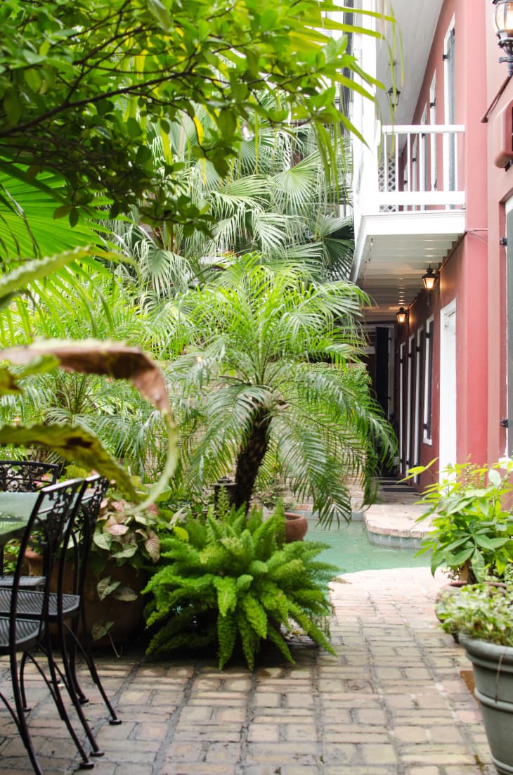 Cozy Condos Close To French Quarter